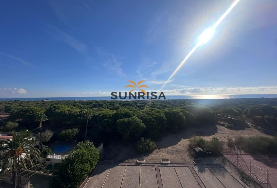 Studio · Herverkoop - Guardamar del Segura · Lomas de Polo-Pinomar · Alicante · Spanje