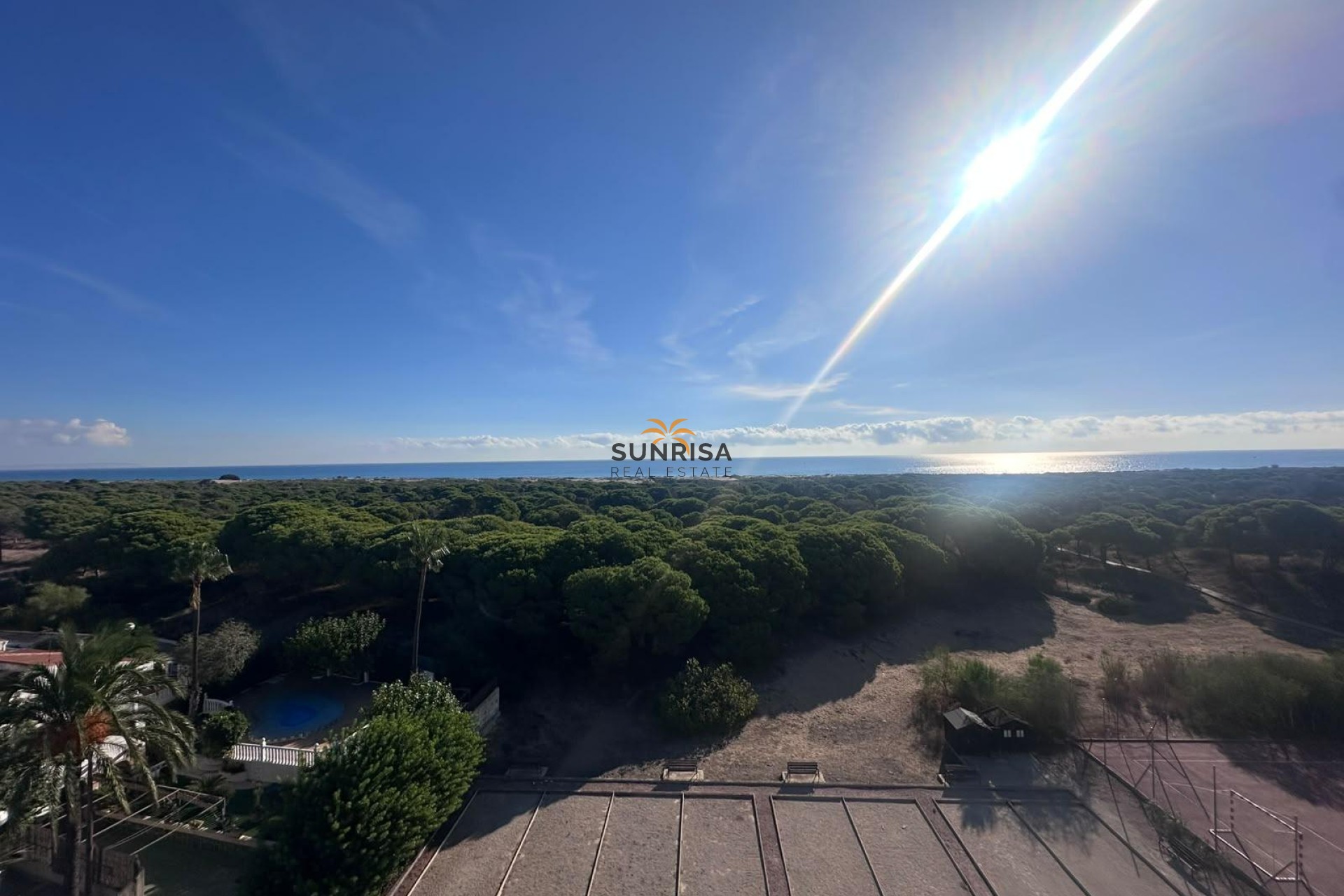 Reventa - Estudio - Guardamar del Segura