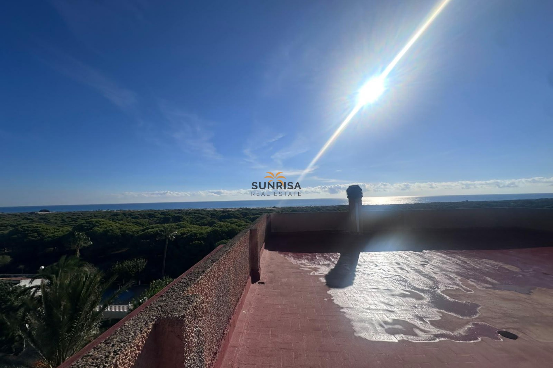 Reventa - Estudio - Guardamar del Segura