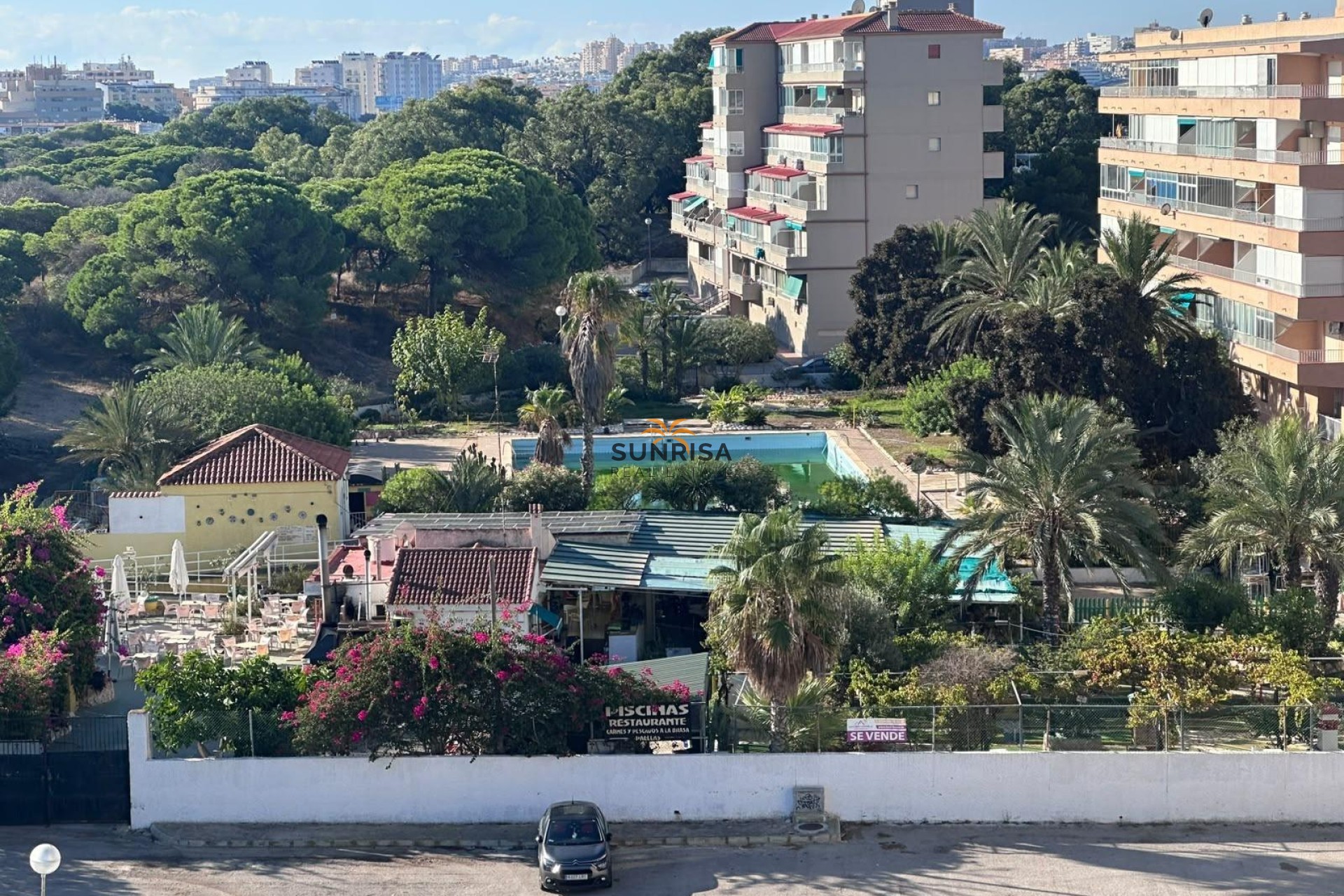 Reventa - Estudio - Guardamar del Segura