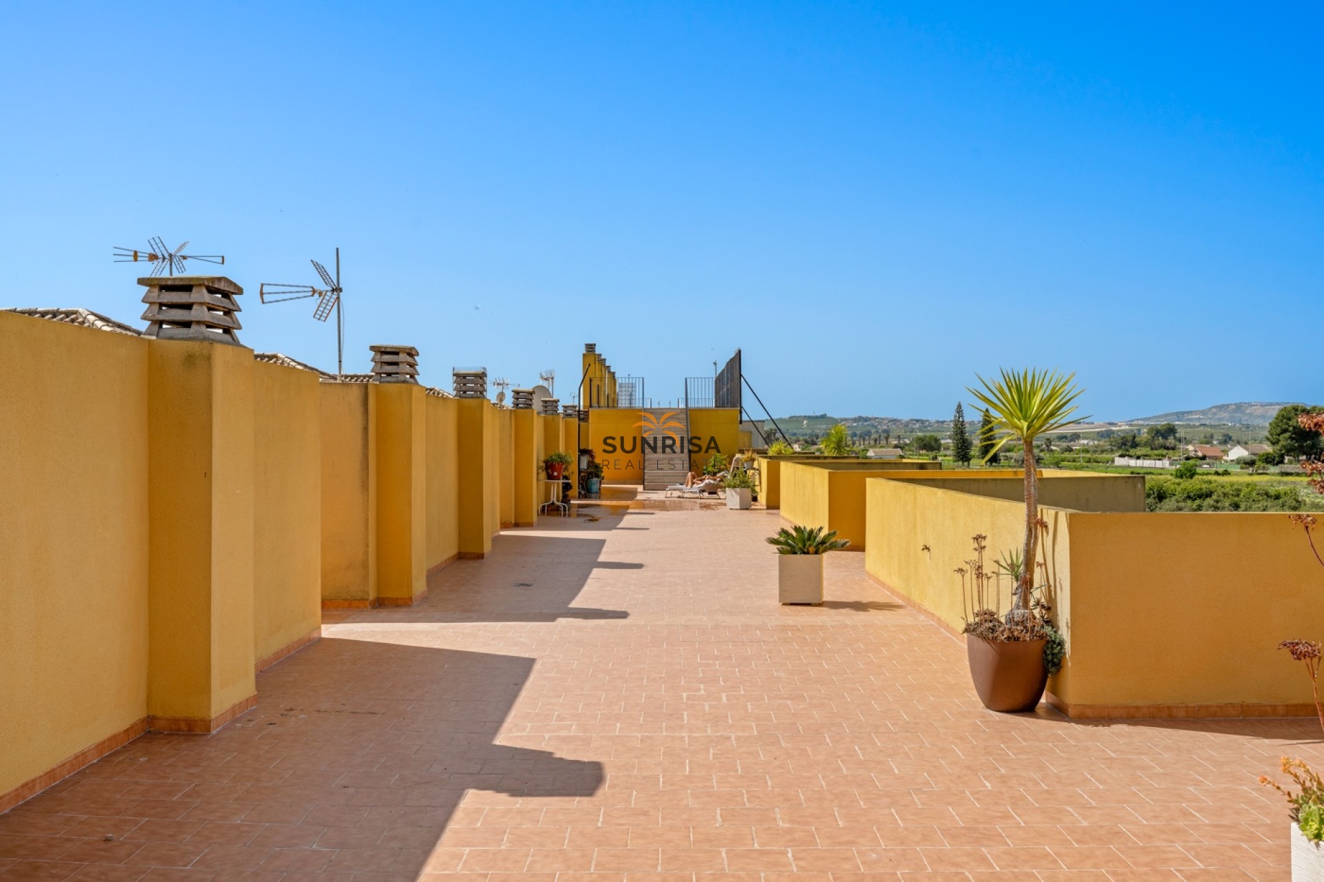 Revente - Appartement - Daya Nueva