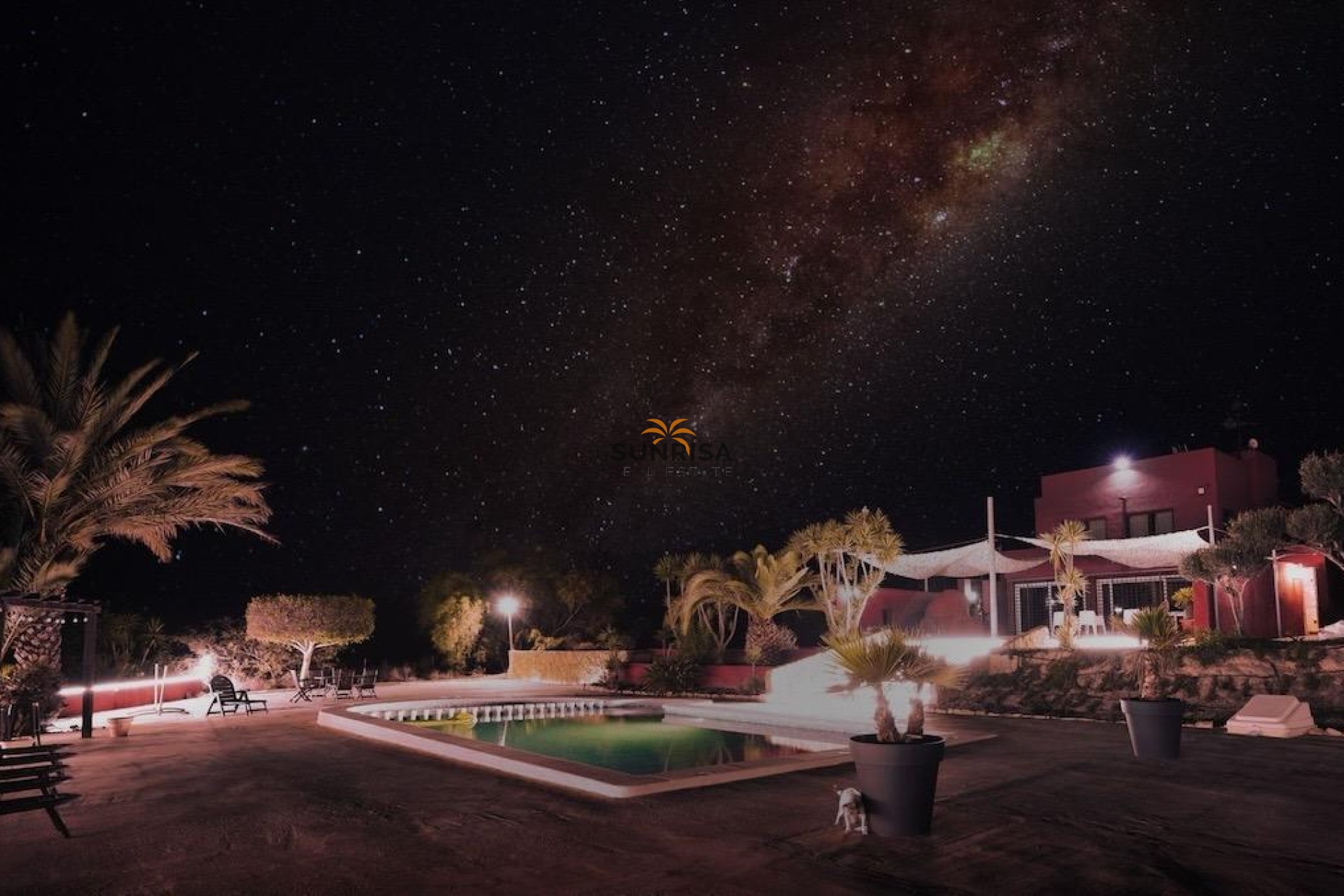 Herverkoop - Finca - Torremendo
