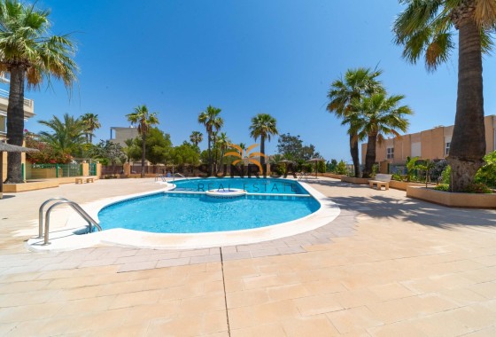Pareado · Reventa - Orihuela Costa · Campoamor · Alicante · España