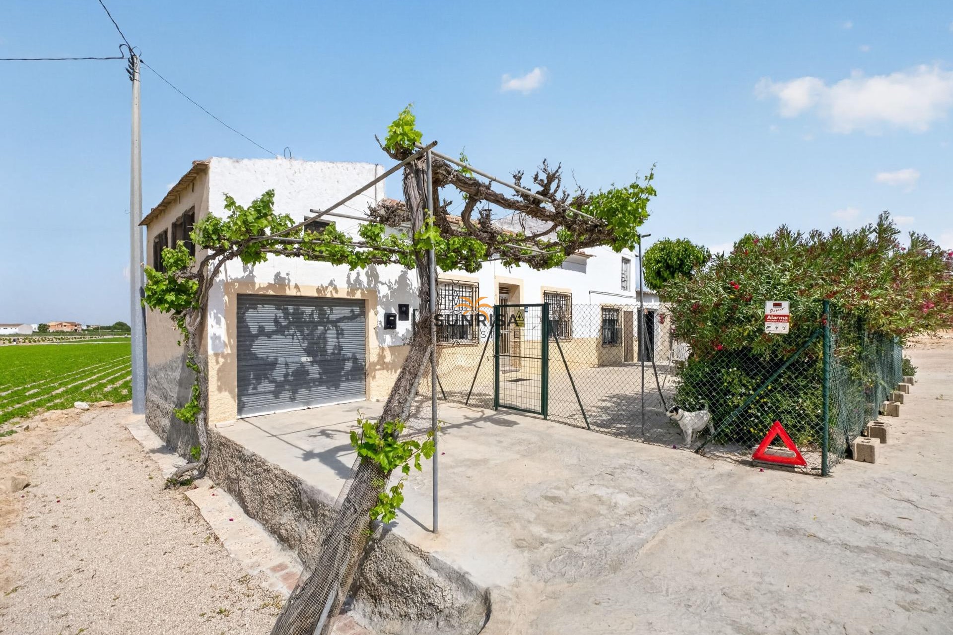 Revente - Maison de campagne - Orihuela