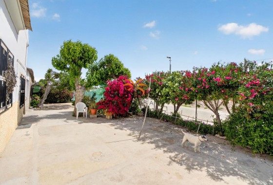 Casa de campo · Reventa - Orihuela · Desamparados - Hurchillo - Torremendo · Alicante · España