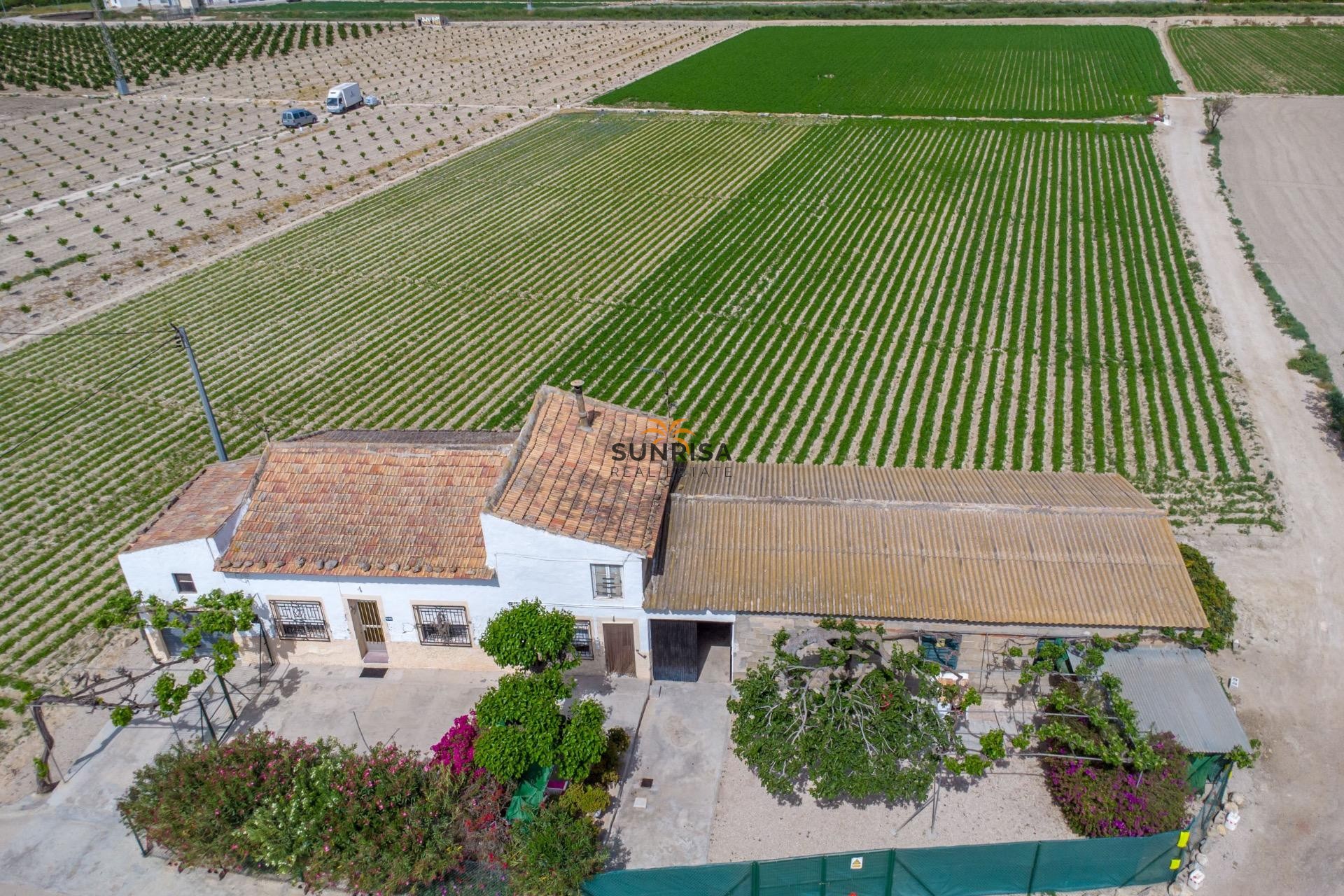 Revente - Maison de campagne - Orihuela