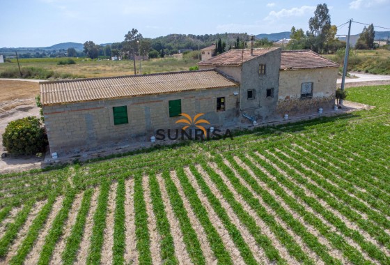 Casa de campo · Reventa - Orihuela · Desamparados - Hurchillo - Torremendo · Alicante · España
