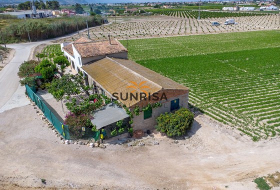 Casa de campo · Reventa - Orihuela · Desamparados - Hurchillo - Torremendo · Alicante · España
