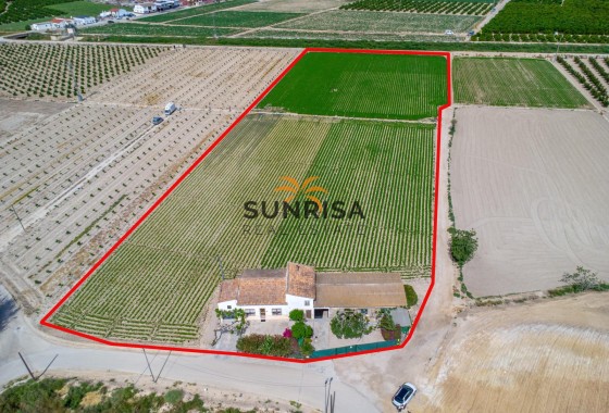 Casa de campo · Reventa - Orihuela · Desamparados - Hurchillo - Torremendo · Alicante · España