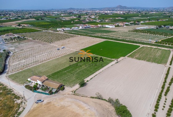 Casa de campo · Reventa - Orihuela · Desamparados - Hurchillo - Torremendo · Alicante · España