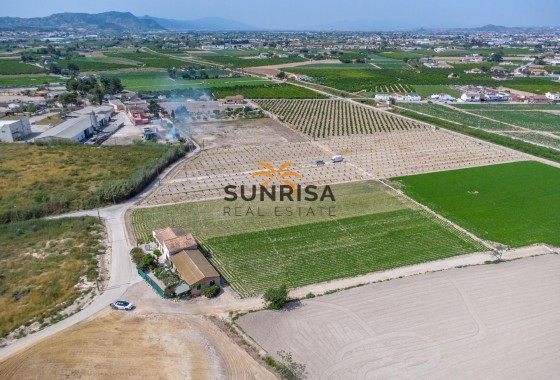 Casa de campo · Reventa - Orihuela · Desamparados - Hurchillo - Torremendo · Alicante · España