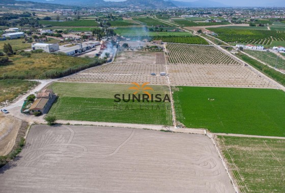 Casa de campo · Reventa - Orihuela · Desamparados - Hurchillo - Torremendo · Alicante · España