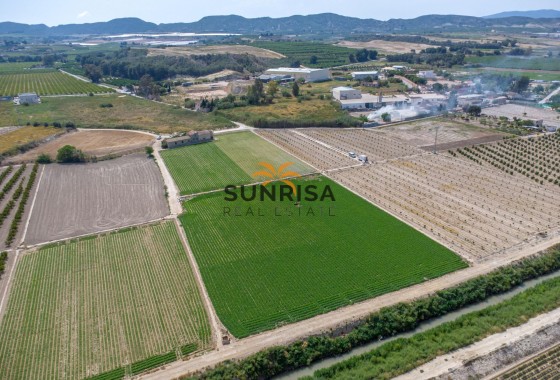 Casa de campo · Reventa - Orihuela · Desamparados - Hurchillo - Torremendo · Alicante · España