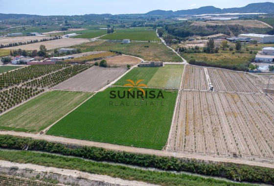 Casa de campo · Reventa - Orihuela · Desamparados - Hurchillo - Torremendo · Alicante · España