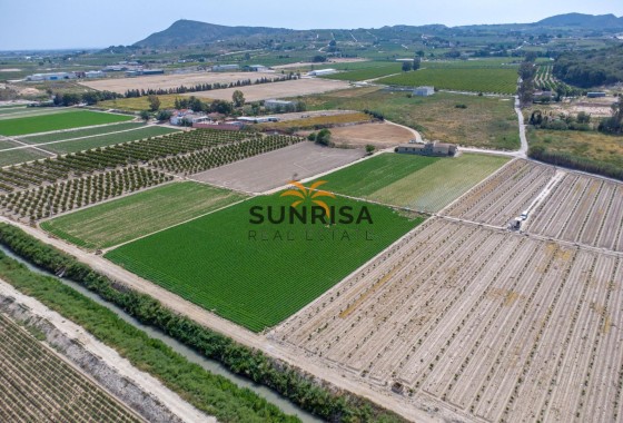 Casa de campo · Reventa - Orihuela · Desamparados - Hurchillo - Torremendo · Alicante · España