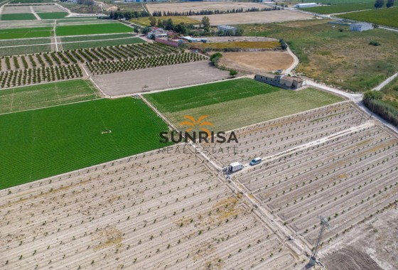 Casa de campo · Reventa - Orihuela · Desamparados - Hurchillo - Torremendo · Alicante · España