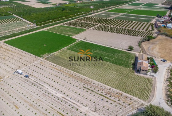 Casa de campo · Reventa - Orihuela · Desamparados - Hurchillo - Torremendo · Alicante · España