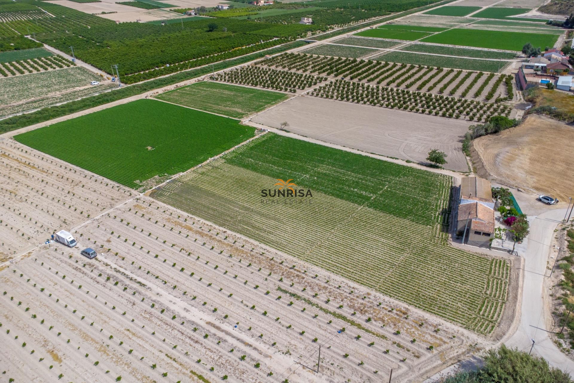 Revente - Maison de campagne - Orihuela