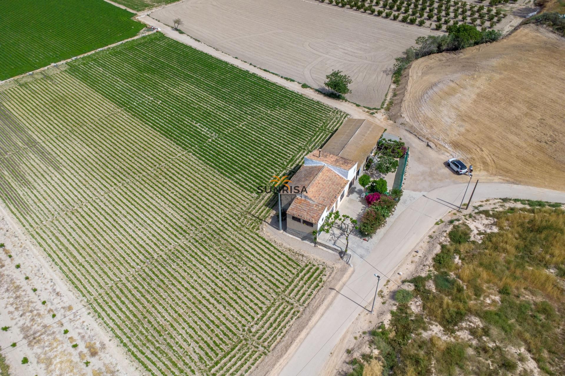 Revente - Maison de campagne - Orihuela