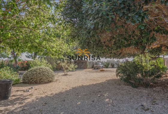 Finca · Reventa - Orihuela · San Bartolomé · Alicante · España