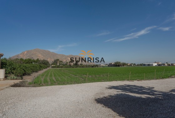 Finca · Reventa - Orihuela · San Bartolomé · Alicante · España
