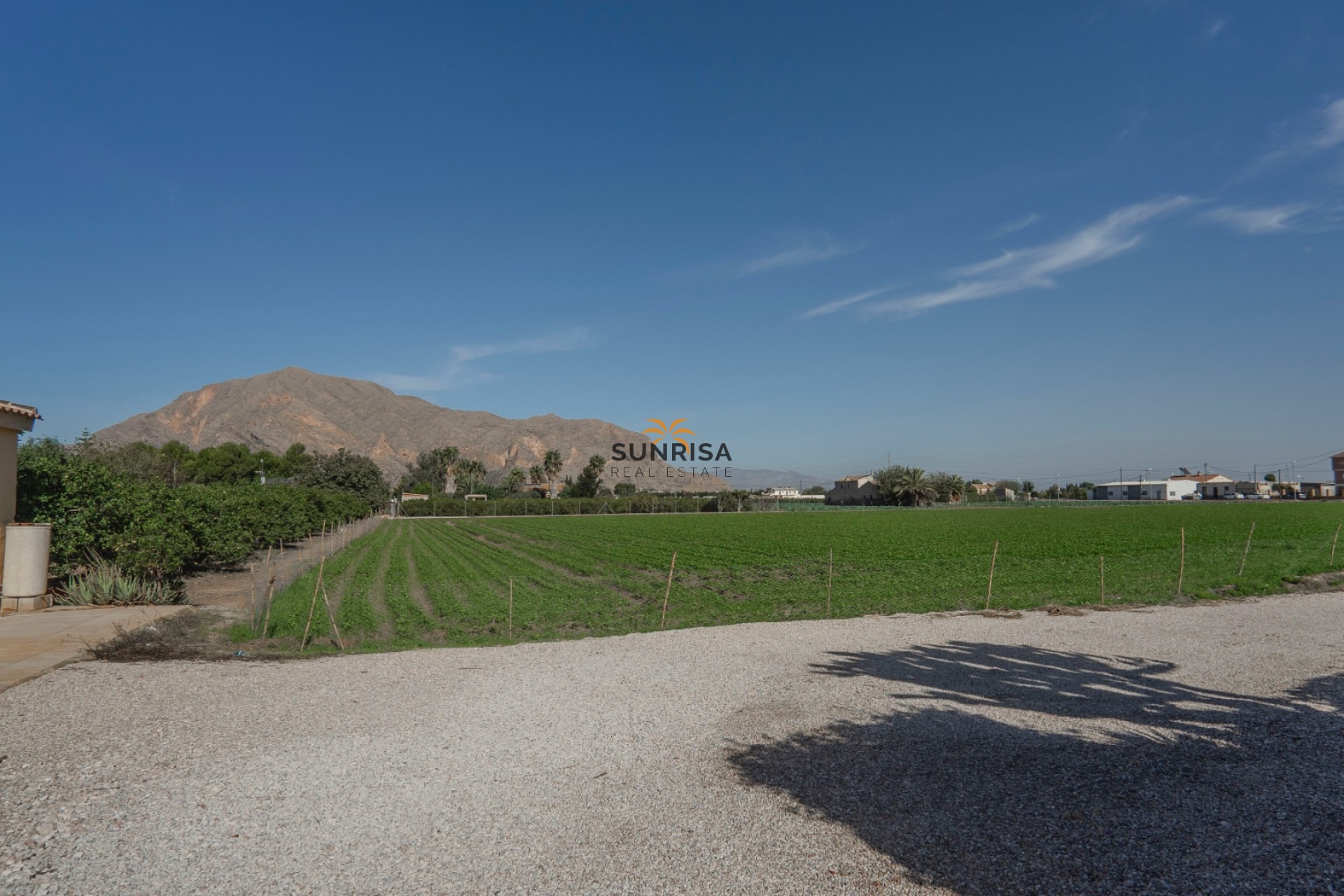 Resale - Finca - Orihuela