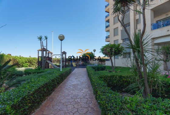 Apartamento · Reventa - Guardamar del Segura · Puerto Deportivo · Alicante · España