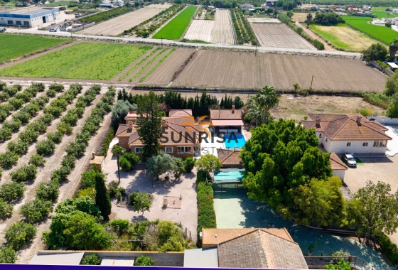 Finca · Reventa - Rojales · Alicante · España