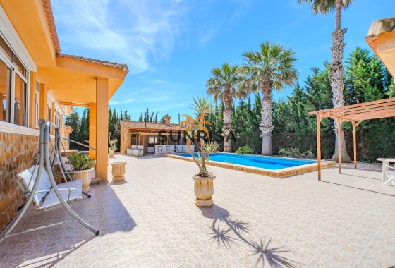 Finca · Reventa - Rojales · Alicante · España