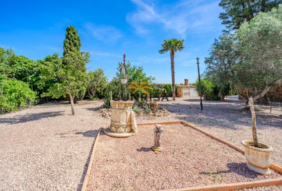 Finca · Reventa - Rojales · Alicante · España