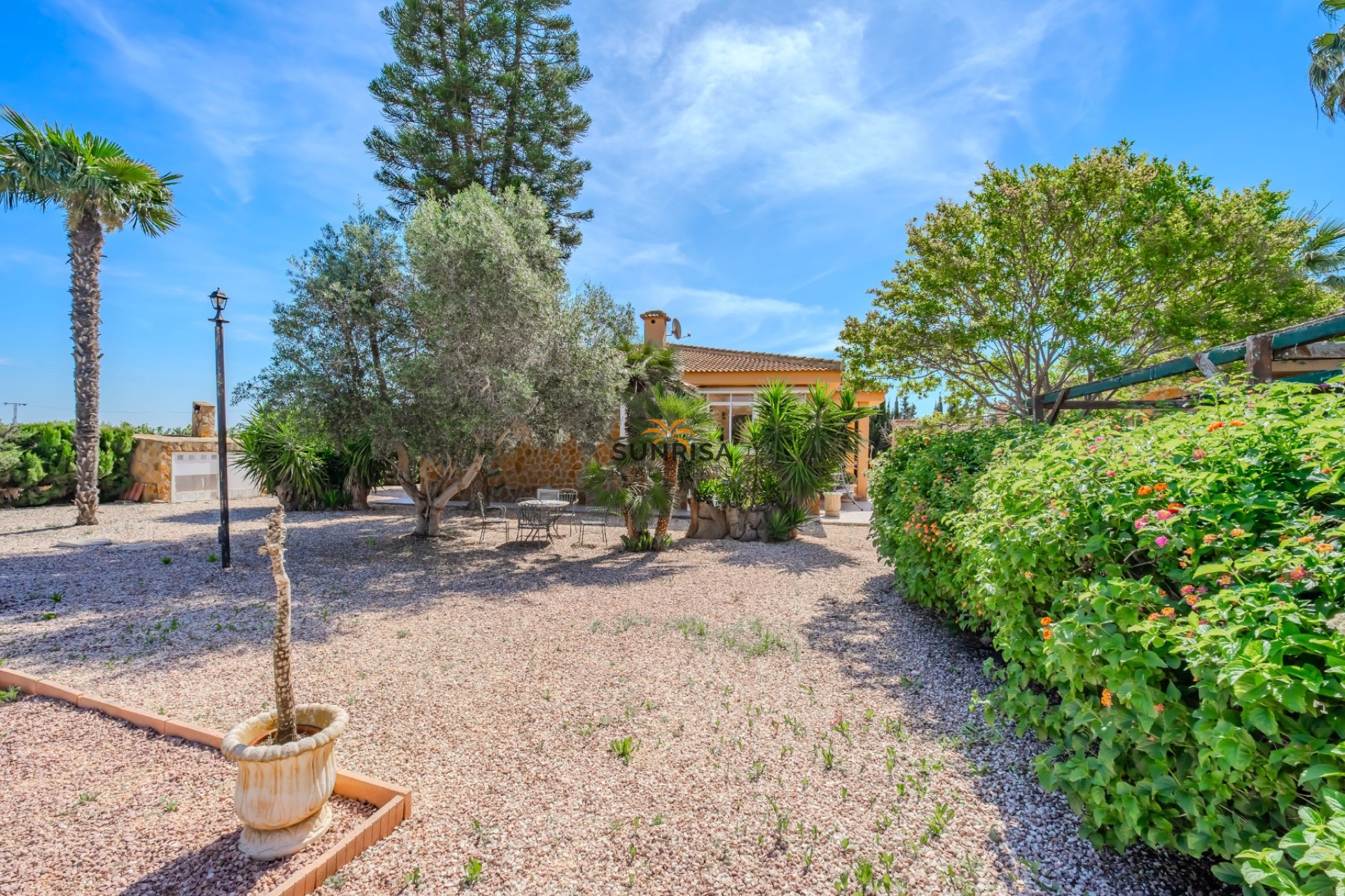 Revente - Finca - Rojales