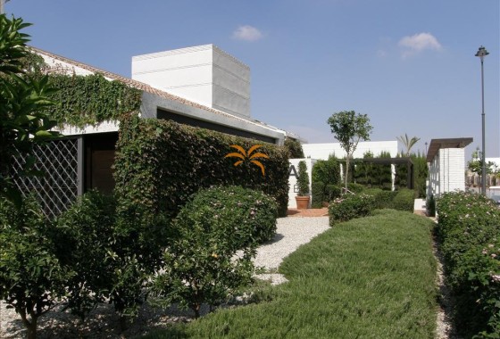 Adosado · Obra nueva - Peraleja Golf · Murcia · España