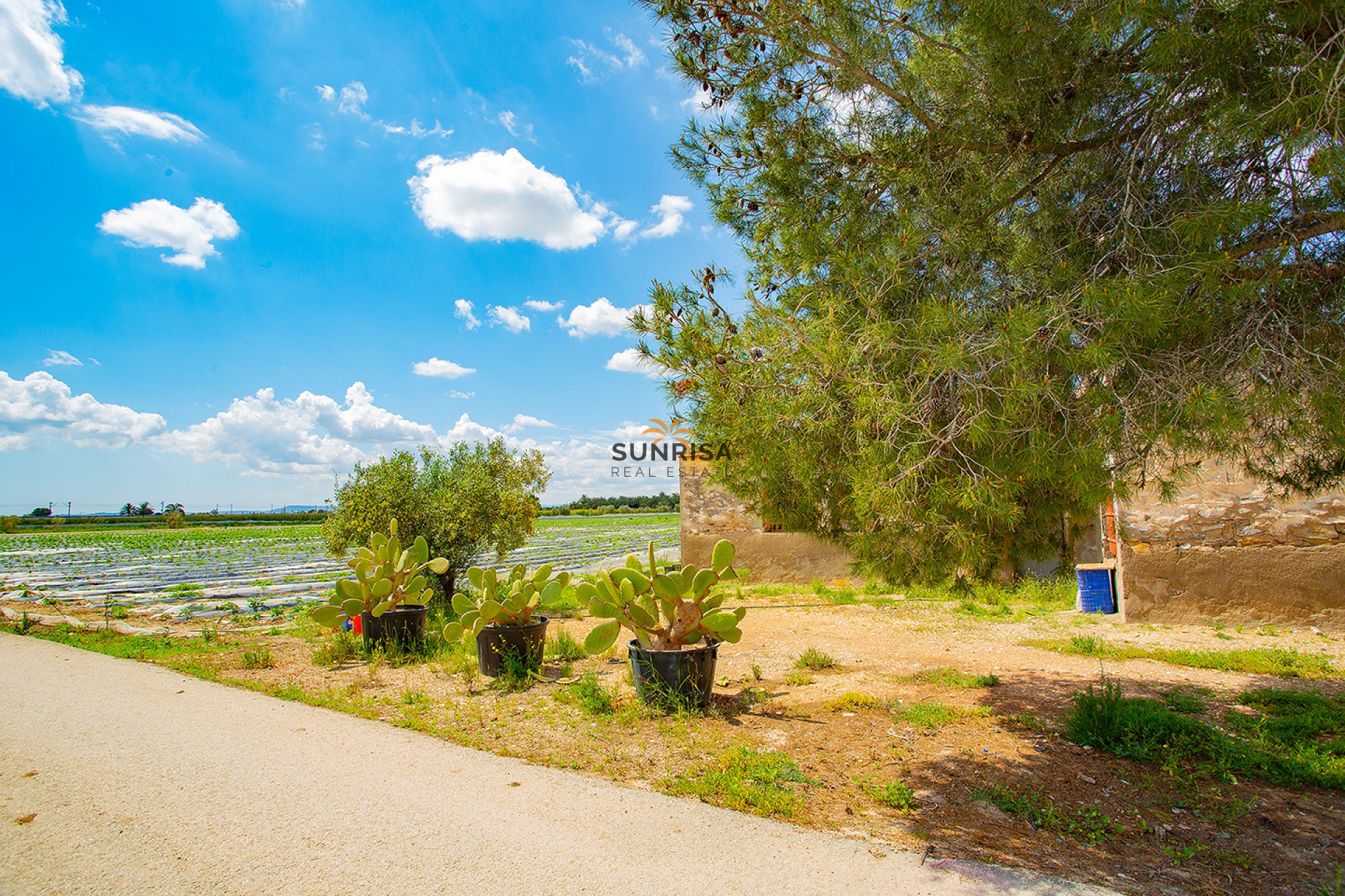 Revente - Maison de campagne - San Isidro
