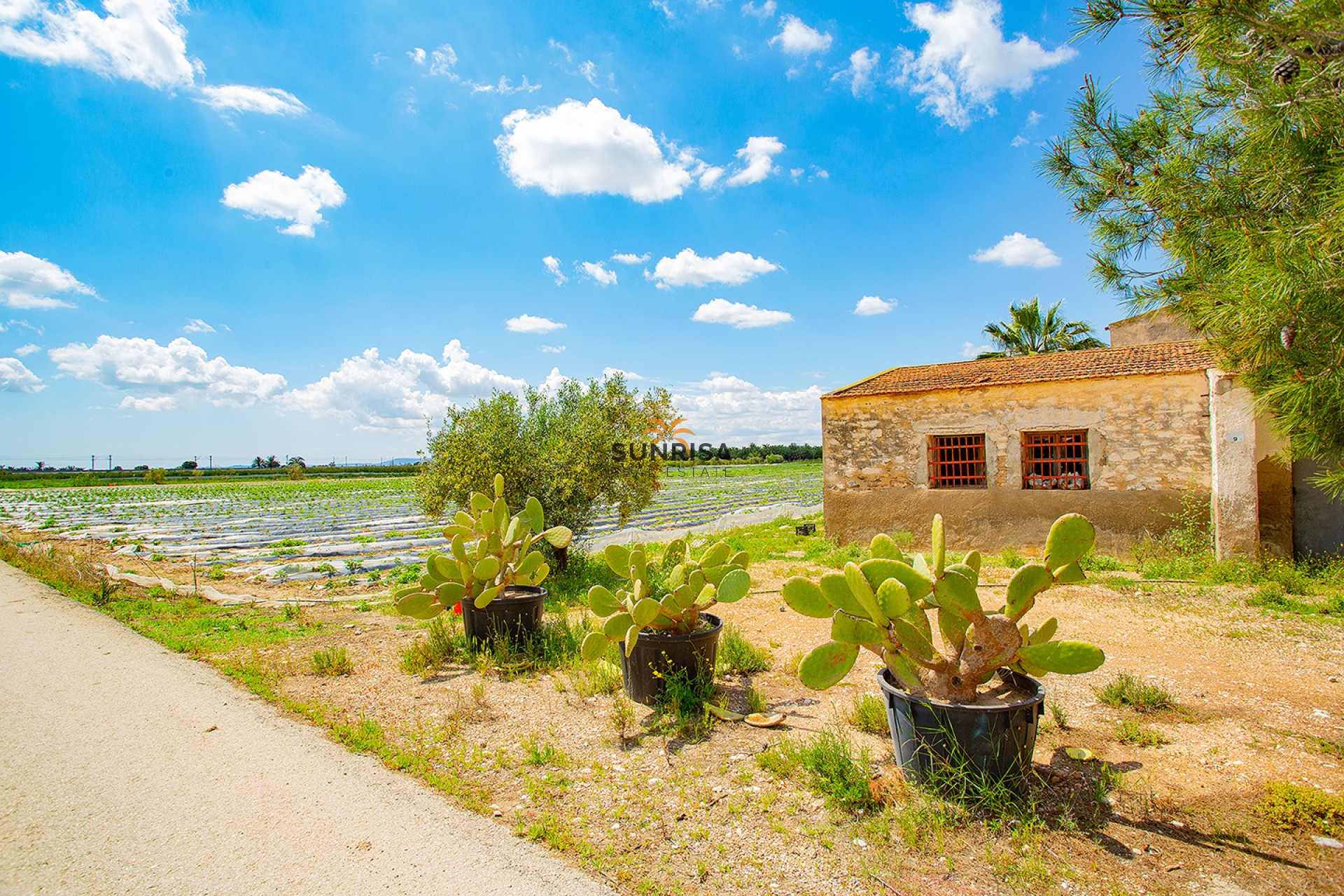 Revente - Maison de campagne - San Isidro