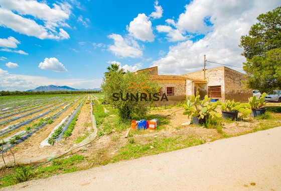 Maison de campagne · Revente - San Isidro · Alicante · Espagne