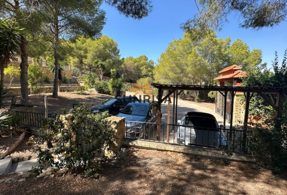 Finca · Reventa - San Miguel de Salinas · Alicante · España