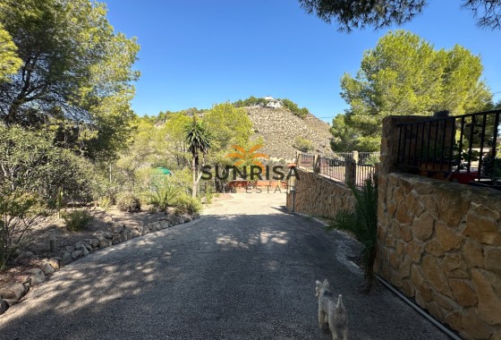 Finca · Reventa - San Miguel de Salinas · Alicante · España
