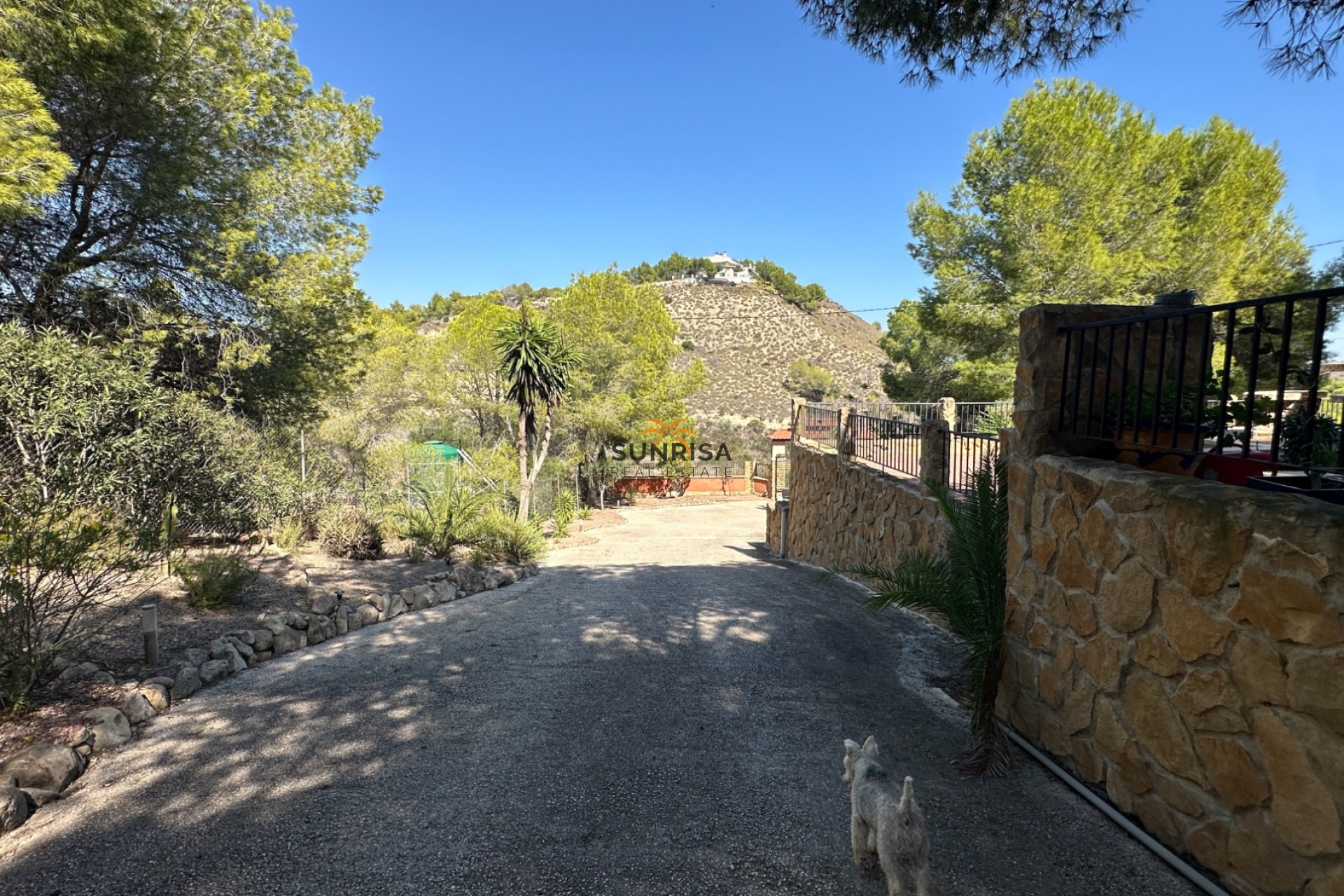 Herverkoop - Finca - San Miguel de Salinas