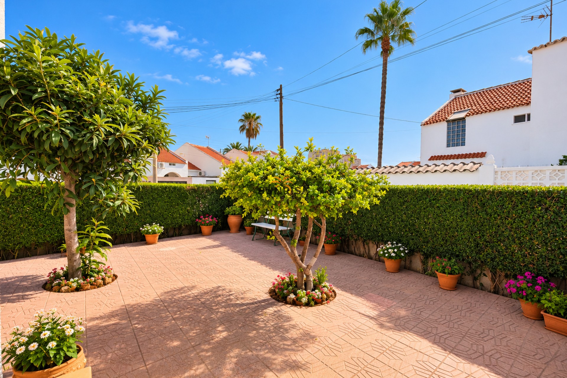Reventa - Adosado - Torrevieja
