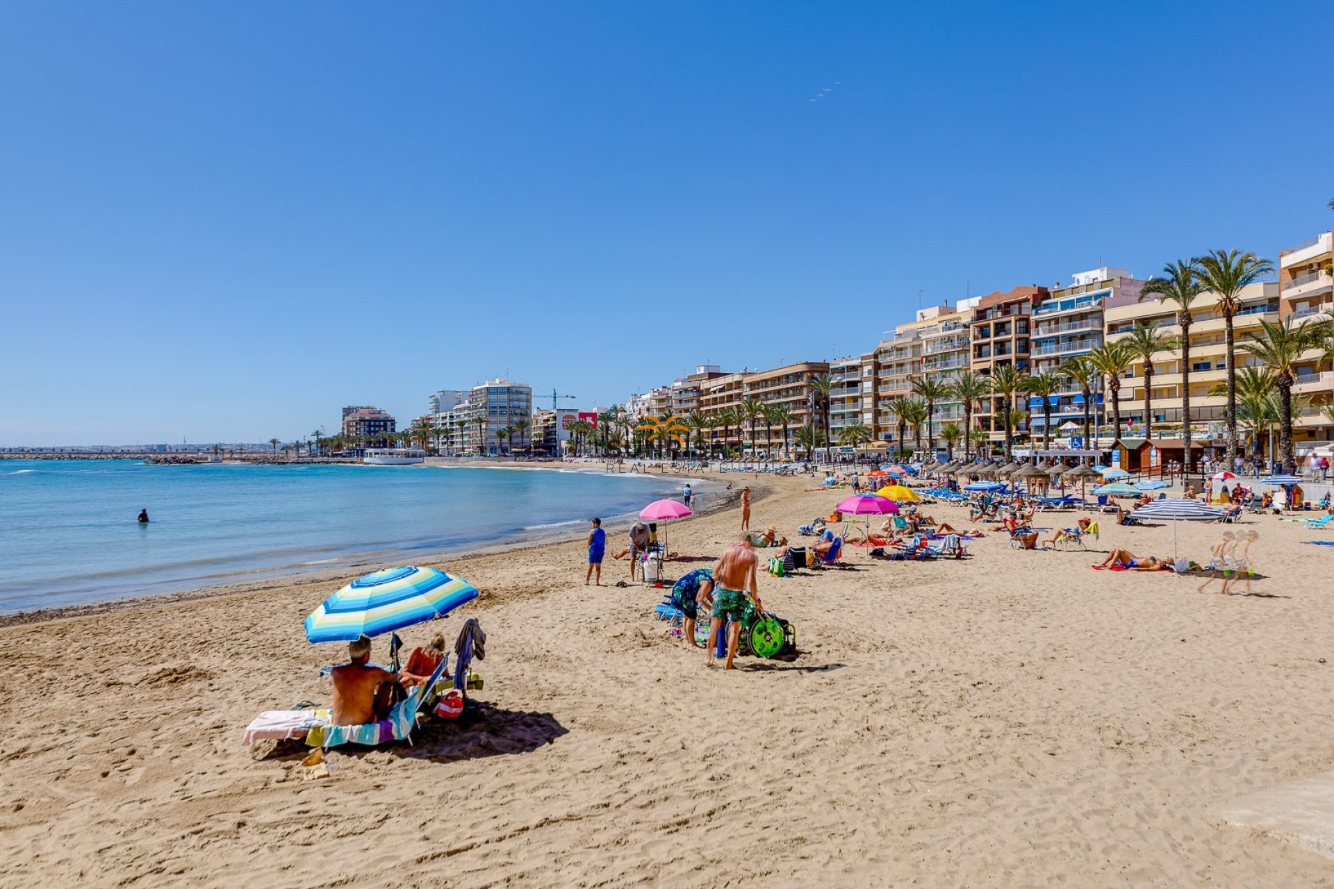 Reventa - Apartamento - Torrevieja