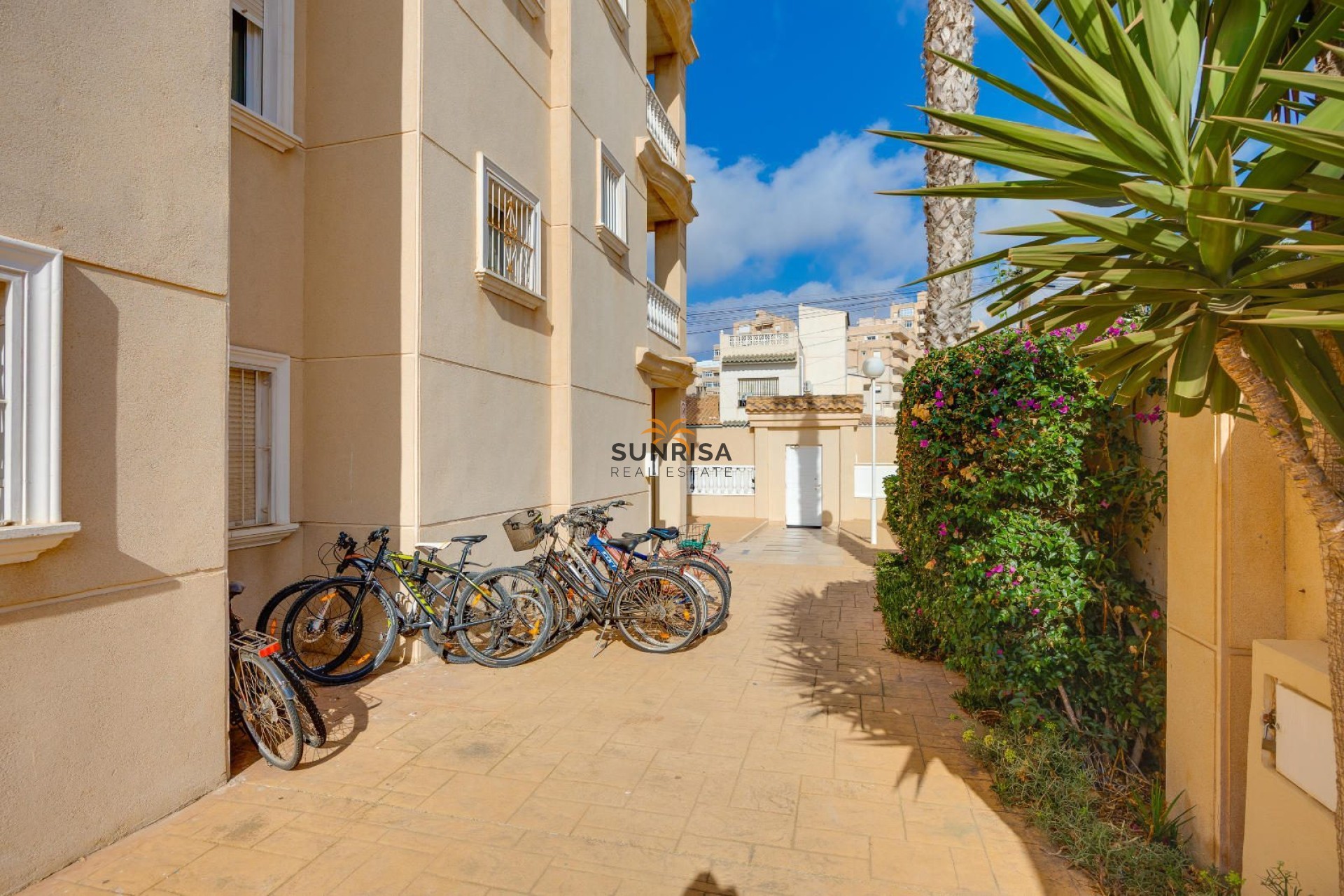 Reventa - Apartamento - Torrevieja