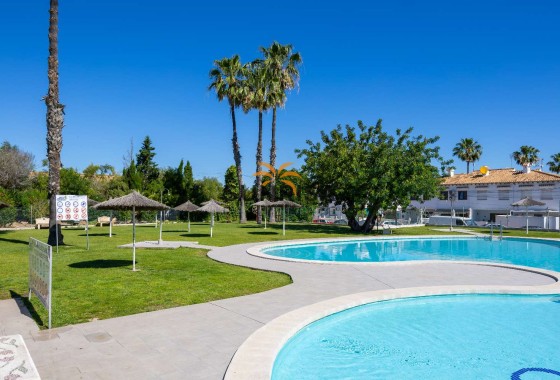 Appartement · Location à long terme - Torrevieja · Alicante · Espagne