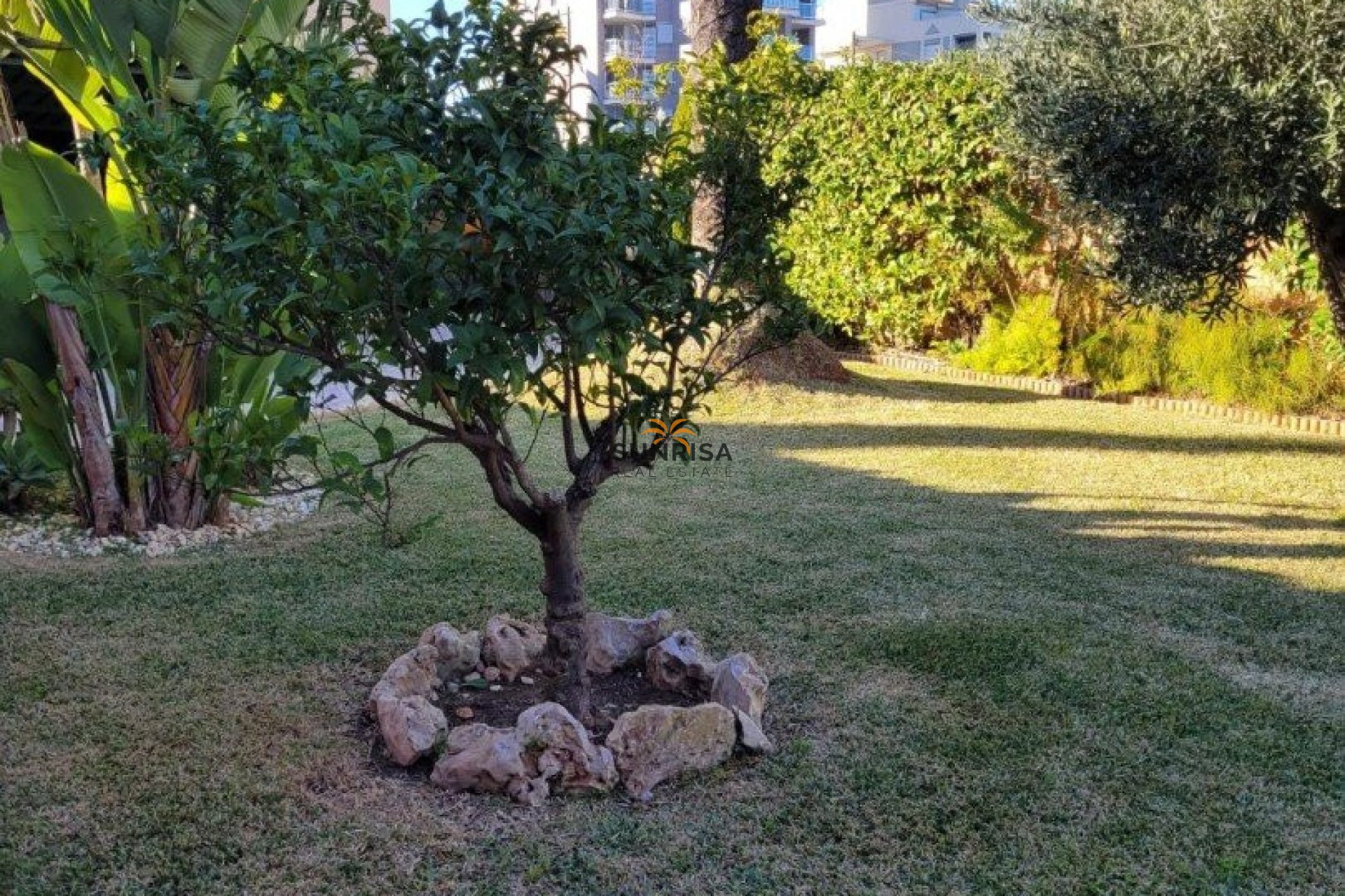 Revente - Villa - Torrevieja