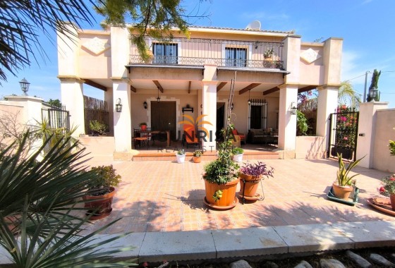 Finca · Reventa - Albatera · Alicante · España