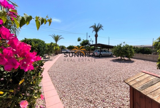 Finca · Reventa - Albatera · Alicante · España