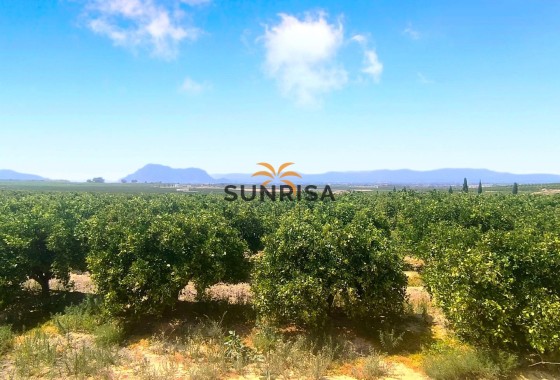 Appartement · Revente - Algorfa · La Finca Golf Resort · Alicante · Espagne