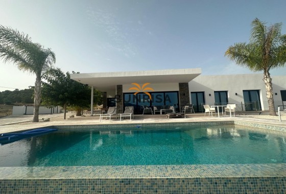 Villa · Obra nueva - Pinoso · Alicante · España