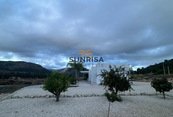 Villa · Obra nueva - Pinoso · Alicante · España