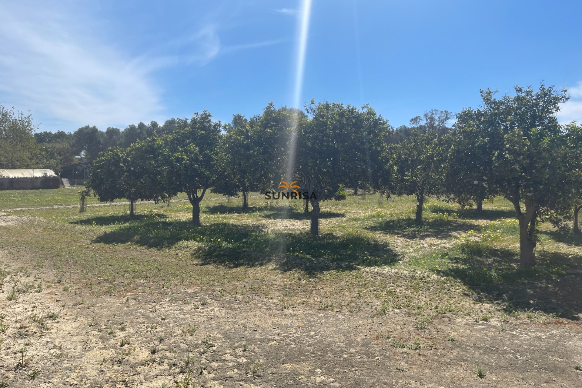 Resale - Villa - Guardamar del Segura