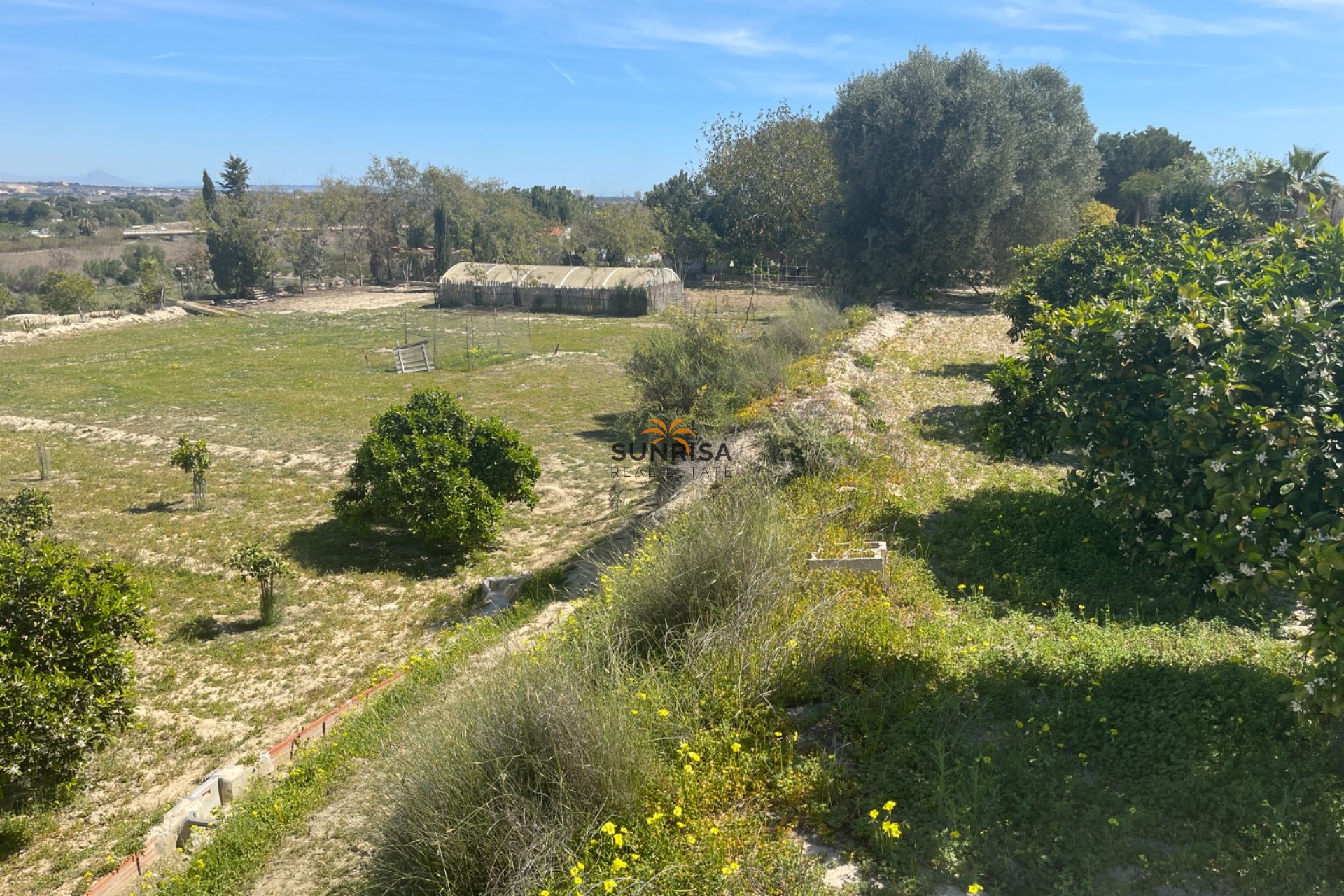 Resale - Villa - Guardamar del Segura